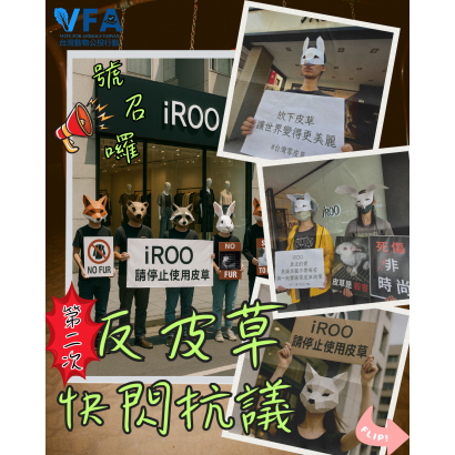 iroo快閃抗議_5_.png