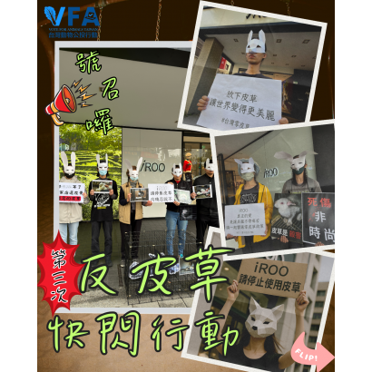 iroo快閃抗議_6_.png